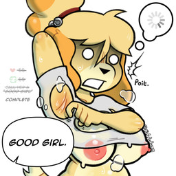anthro armpit_fetish big_breasts bodily_fluids breasts buffering clothing cut_clothes dialogue female fur good_girl interaction_drive like_goal musk musky_armpits nipple_slip nipples praise_kink presenting_armpit retweet_goal shocked simple_background sweat text torn_clothing white_background yellow_body yellow_fur tdtbaa animal_crossing nintendo isabelle_(animal_crossing) canid canine canis domestic_dog mammal shih_tzu toy_dog 1:1 2025 english_text hi_res