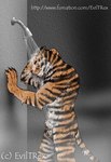 animal_genitalia anthro attached_sheath balls bathing black_stripes detailed_background ears_back ears_down fur genitals male muscular muscular_anthro muscular_male nude orange_body orange_fur penis penis_tip pivoted_ears sheath showerhead showering solo standing steam striped_body striped_fur stripes tail text water wet wet_body wet_fur white_body white_fur eviltrex felid mammal pantherine tiger digital_drawing_(artwork) digital_media_(artwork) shaded soft_shading url