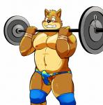anthro blush briefs canid canine canis clothing domestic_dog erection exercise genitals holding_barbell holding_object kenta_shiba_(character) male mammal navel nipples open_mouth penis pubes shiba-kenta shiba_inu simple_background solo spitz teeth underwear weightlifting white_background workout