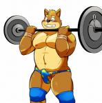 anthro blush briefs clothing erection exercise genitals holding_barbell holding_object male navel nipples open_mouth penis pubes simple_background solo teeth underwear weightlifting white_background workout shiba-kenta kenta_shiba_(character) canid canine canis domestic_dog mammal shiba_inu spitz