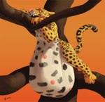 belly big_belly female feral inflation plant soft_vore solo swollen tree vore accidentalaesthetics felid leopard mammal pantherine story story_in_description