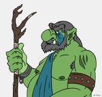 beard druid elderly facial_hair fantasy green_body green_skin magic_user male not_furry slightly_chubby solo tribal_spellcaster tusks oganok humanoid orc chub_(disambiguation) half-length_portrait hi_res portrait