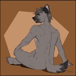 anthro biped black_border border countershade_torso countershading crossed_legs dipstick_tail looking_at_viewer looking_back male markings nude solo tail tail_markings greasymojo osten_(ostyeen) canid canine mammal hi_res