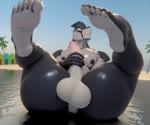 5_toes anal_wink anthro anus arm_tattoo balls barazoku beach big_balls big_pecs big_penis black_body black_skin blue_sky bondage_gear building butt detailed_background feet fin genitals glistening glistening_body house jewelry looking_at_viewer lying male masturbation multicolored_body muscular muscular_male necklace nipples non-mammal_balls non-mammal_nipples on_back open_mouth outside palm_tree pecs penile penile_masturbation penis plant presenting puffy_anus sand seaside sky soles solo tattoo teeth_showing throbbing throbbing_balls toes tree two_tone_body water white_balls white_body white_skin yellow_eyes morethreedee fish marine shark 3d_(artwork) 3d_animation 6:5 animated digital_media_(artwork) no_sound short_playtime webm