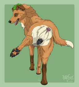 animal_genitalia animal_vulva anus bedroom_eyes black_nose black_pawpads black_vulva blue_eyes bodily_fluids brown_body brown_ears brown_fur butt canine_genitalia canine_vulva countershading digitigrade dipstick_tail dripping eye_patch_(marking) facial_markings fangs female feral floppy_ears fluffy fluffy_tail folded_ears fur genital_fluids genitals gloves_(marking) green_body green_fur head_markings head_tuft leaking_vagina leaking_vaginal_fluids leg_markings looking_at_viewer looking_back looking_back_at_viewer markings narrowed_eyes orange_body orange_fur orange_tail patch_(marking) pawpads pink_anus pink_tongue presenting presenting_anus presenting_hindquarters presenting_vulva quadruped raised_leg realistic_feral rear_view seductive simple_background snout socks_(marking) solo spread_legs spreading tail tail_aside tail_markings teeth tongue tongue_out tuft vaginal_fluid_drip vaginal_fluid_string vaginal_fluids vulva white_body white_butt white_fur white_tail_tip hateeven muddog007 american_foxhound canid canine canis domestic_dog foxhound hunting_dog mammal scent_hound 2026 full-length_portrait hi_res portrait