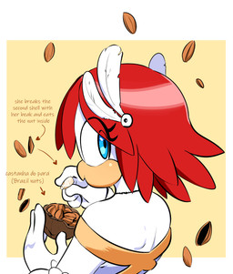 anthro beak blue_eyes brazil_nut clothing dress eye_through_hair eyelashes eyelashes_through_hair feathers female food fruit gloves hair handwear looking_back orange_beak plant red_hair shell solo text translucent translucent_hair white_body white_feathers quavernsfw sega sonic_the_hedgehog_(series) princess_elise_the_third accipitrid accipitriform avian bird eagle absurd_res english_text hi_res
