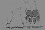 ambiguous_gender anthro barefoot black_pawpads claws cracked_ground cruelty crush digitigrade dominant emanata extreme_size_difference feet foot_crush foot_focus foot_shot footprint grey_background group hair larger_ambiguous larger_anthro looming looming_foot micro_abuse motion_lines pawpads paws pinned pinned_to_ground pinning_down raised_foot rubble simple_background size_difference smaller_ambiguous smaller_anthro smothering soles squish stepped_on stomped stomping stripes tail toe_claws toes trampling trio underfoot violence anonymous_artist mythology dragon mythological_creature mythological_scalie scalie 2018 monochrome female_(lore) male_(lore)