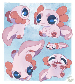 ambiguous_gender big_eyes black_eyes blue_eyes chibi female feral multiple_poses open_mouth pink_body pink_skin pose quadruped simple_background solo mochiri amphibian aquatic axolotl mole_salamander salamander 2025 absurd_res cel_shading digital_drawing_(artwork) digital_media_(artwork) hi_res multiple_images shaded
