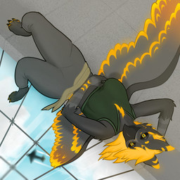 aircraft airplane anthro big_breasts bottomwear breasts building clothing female fur glowing glowing_markings grey_body grey_fur high_up looking_at_viewer markings non-mammal_breasts orange_body orange_fur over_edge pants shirt solo sweatpants tank_top topwear vehicle squareofclay mythology kaolin_(squareofclay) avian gryphon mythological_avian mythological_creature 1:1 hi_res