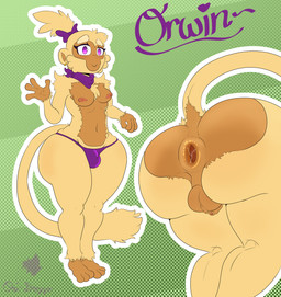 anthro anus big_butt bow_accessory breasts butt clothing foreskin gaping gaping_anus genitals gesture gynomorph intersex lube_drip lube_in_ass panties penis presenting presenting_hindquarters puffy_anus scarf small_penis smile smiling_at_viewer solo thick_thighs underwear waving waving_at_viewer wide_hips conditional_dnp ori-doggo bloons_tower_defense ninja_kiwi druid_(bloons) orwin_(ori-doggo) animal_humanoid haplorhine humanoid mammal mammal_humanoid monkey monkey_humanoid primate primate_humanoid absurd_res hi_res