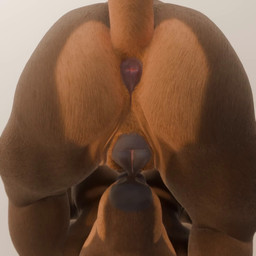 anal_wink animal_genitalia animal_vulva anthro anus biting_vulva brown_body canine_genitalia canine_vulva cunnilingus duo female female/female flinching genital_danger_play genital_focus genital_torture genitals grey_vulva hair labia_pull nibbling oral pussy_sucking pussy_torture red_hair sex shaking tail tail_motion tailwag tugging vaginal vulva vulva_focus unknown_artist untied_verbeger_(modeler) dobermann_(untied_verbeger) canid canine canis dobermann domestic_dog mammal pinscher 1:1 3d_(artwork) 3d_animation animated digital_media_(artwork) no_sound short_playtime webm