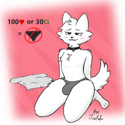 anthro bedroom_eyes biped bite biting_lip blush bulge clothed clothing front_view fur heart_eyes heart_symbol interaction_drive kneeling male male_anthro narrowed_eyes panties partially_clothed pointy_ears raised_tail seductive shirt simple_background snaggle_tooth solo t-shirt tail topwear underwear undressing white_body white_fur irusufox boy_kisser_(meme) strip_meme domestic_cat felid feline felis mammal 1:1 hi_res meme
