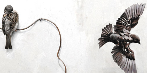 duo feathers feral flying multicolored_body multicolored_feathers perching simple_background spread_wings white_background wings renum63 house_sparrow 2014 artrage_(artwork) digital_media_(artwork)