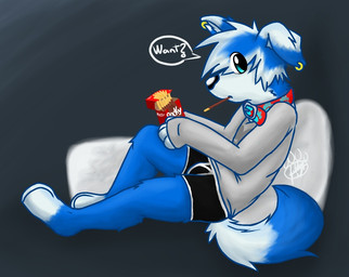 anthro black_clothing black_underwear blue_body blue_ears blue_eyes blue_fur blue_hair boxer_briefs bulge clothed clothing collar dialogue digitigrade ear_piercing ear_ring eye_through_hair floppy_ears food fur hair looking_at_viewer male multicolored_body multicolored_ears multicolored_fur multicolored_hair partially_clothed piercing red_collar ring_piercing simple_background solo translucent translucent_hair two_tone_body two_tone_ears two_tone_fur two_tone_hair underwear white_body white_ears white_fur white_hair gaokun pocky gao_(gaokun) border_collie canid canine canis collie domestic_dog herding_dog hybrid mammal nordic_sled_dog pastoral_dog samoyed sheepdog spitz 2015 watermark