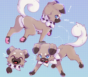 abstract_background ambiguous_gender barking blue_background blue_eyes brown_body brown_fur brown_markings claws cute_fangs exclamation_point eyebrows_(marking) fangs featureless_crotch feral floppy_ears fur gloves_(marking) looking_at_viewer looking_back markings neck_tuft open_mouth pawpads paws pink_pawpads raised_tail simple_background smile solo tail tail_motion tailwag teeth tuft underbelly white_body white_fur white_tail gabileafy nintendo pokemon generation_7_pokemon pokemon_(species) rockruff hi_res