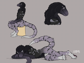 anthro black_body black_fur dipstick_tail fur genitals glistening glistening_eyes grey_body grey_fur leg_markings looking_at_viewer male male_anthro markings mouth_closed nude penis penis_tip side_view simple_background sitting socks_(marking) solo striped_legs striped_markings striped_tail stripes tail tail_markings sketchy_shelby kour_(sketchy_shelby) dinosaur dromaeosaurid felid hybrid mammal prehistoric_species reptile saurischian scalie theropod 2025 dated hi_res signature