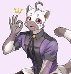 anthro clothed clothing ear_piercing fully_clothed fur gesture grey_body grey_fur hand_gesture looking_at_viewer male markings ok_sign piercing purple_eyes shirt simple_background smile solo topwear white_background white_body white_fur yellow_sclera bingsu_19 chardonnay_romancia nazk_banua lemur mammal primate strepsirrhine 2022 digital_drawing_(artwork) digital_media_(artwork) hi_res