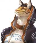 anthro clothed clothing collarbone countershading fur fur_tuft hair inner_ear_fluff looking_at_viewer male simple_background solo tuft white_background chinchilla3333 nekojishi studio_klondike likulau clouded_leopard felid mammal pantherine 2019