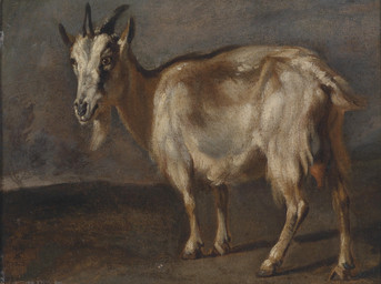 2_horns anus beard cloven_hooves facial_hair female female_feral feral fur hooves horn looking_aside quadruped scut_tail short_tail simple_background solo standing tail teats three-quarter_view unguligrade pieter_boel public_domain bovid caprine goat mammal 17th_century absurd_res ancient_art hi_res oil_painting_(artwork) painting_(artwork) traditional_media_(artwork) traditional_painting_(artwork)