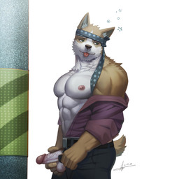 5_fingers abs anthro balls belt biceps big_muscles biped bottomwear brown_body brown_fur brown_nose clothed clothing drunk erection fingers fur genitals green_eyes humanoid_genitalia humanoid_penis male muscular muscular_anthro muscular_male necktie necktie_headband nipples open_bottomwear open_clothing open_pants open_shirt open_topwear pants pecs penis shirt solo standing substance_intoxication tongue tongue_out topwear vein veiny_penis white_body white_fur raccoon21 canid canine canis domestic_dog mammal 2015 absurd_res digital_media_(artwork) hi_res