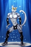 abs anthro big_eyes bulge clothing looking_at_viewer male muscular muscular_anthro muscular_male smile solo whiskers bleakcat bleakcat_(character) domestic_cat felid feline felis mammal