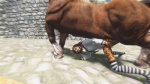 3d animal_genitalia bestiality breasts discombobulation equine feline female feral horse horsecock interspecies khajiit male mammal ohmes-raht penis sex socks straight the_elder_scrolls the_elder_scrolls_v:_skyrim video_games
Rating: Explicit
Score: -4
User: discombobulation
Date: July 03, 2013