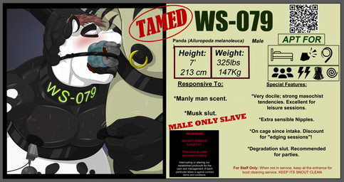 armpit_fetish armpit_sniffing bdsm black_body black_fur bodily_fluids bondage border bound brown_hair clothing docile dominant duo eager eye_rolled fur gag gagged grey_border hair id_card identification male markings masochism multicolored_body multicolored_fur musk nipple_clamp nipple_fetish nipple_play nipple_pull nipples obedient piercing qr_code sadism slave slave_training sniffing spots spotted_body spotted_fur statistics submissive sweat tamed text underwear underwear_in_mouth white_body white_fur literaturabdsm azure_(pupblueslut) quagga_(literaturabdsm) bear equid equine giant_panda mammal zebra 2026 english_text hi_res