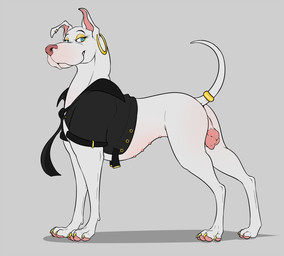 accessory anatomically_correct anatomically_correct_genitalia anatomically_correct_vulva animal_genitalia animal_vulva blue_eyes canine_genitalia canine_vulva claws clothed clothed_feral clothing ear_piercing ear_ring eyelashes eyeshadow female female_feral feral fur furgonomics genitals golden_claws half-closed_eyes jacket looking_at_viewer makeup multi_nipple narrowed_eyes nipples pawpads piercing pink_nipples pink_nose pink_pawpads raised_tail ring_piercing simple_background solo tail tail_accessory topwear vulva white_body white_fur conditional_dnp psy101 april_(psy101) canid canine canis domestic_dog great_dane mammal mastiff molosser 2021 digital_drawing_(artwork) digital_media_(artwork) hi_res