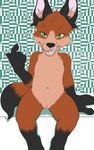 abstract_background anthro beckoning brown_body brown_fur clitoris female flat_chested front_view fur genitals gesture green_background green_eyes inviting licking licking_lips navel nude optical_illusion pattern_background pussy seductive simple_background sitting solo spread_legs spreading tongue tongue_out young young_anthro young_female sogaroth canid canine fox mammal 5:8 absurd_res digital_media_(artwork) hi_res