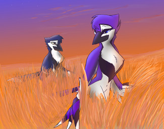 anthro blue_eyes brown_eyes cloud duo feathered_wings feathers female male multicolored_body multicolored_feathers outside purple_sclera sky standing sunset winged_arms wings yellow_sclera corrvo arlyn marelo avian bird 2012 digital_media_(artwork)