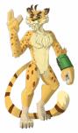 bulge chest_tuft male one_eye_closed simple_background solo tuft white_background wink mc_morrales activision spyro_the_dragon hunter_(spyro) cheetah felid feline mammal hi_res