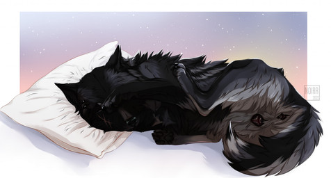 anatomically_correct anatomically_correct_anus anatomically_correct_genitalia anatomically_correct_vulva animal_genitalia animal_vulva anus black_anus black_body black_fur black_vulva butt canine_genitalia canine_vulva facial_scar female feral fur genitals in_heat monotone_anus monotone_genitals pillow presenting presenting_anus presenting_hindquarters presenting_vulva quadruped scar simple_background sleeping solo spread_legs spreading text vulva white_pillow noirr runa_(runapup) canid canine canis mammal wolf 2022 dated digital_media_(artwork) english_text