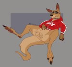 anatomically_correct anatomically_correct_genitalia animal_genitalia anthro balls balls_above_penis clothed clothing genitals male sheath solo raunchysurfeit kangaroo_jack jackie_legs kangaroo macropod mammal marsupial red_kangaroo hi_res