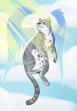 cloud feathered_wings feathers female feral fur outside sky smile solo tail wings amocin domestic_cat felid feline felis mammal 2015 digital_media_(artwork)