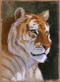 black_background feral fur orange_body orange_fur orange_stripes pink_nose simple_background solo stripes whiskers white_body white_fur yellow_eyes alexpahomov felid mammal pantherine tiger 2020 digital_media_(artwork) digital_painting_(artwork) digital_watercolor_(artwork) krita_(artwork) painting_(artwork) watercolor_(artwork)