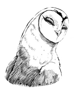 ambiguous_gender beak feathered_wings feathers feral looking_down narrowed_eyes solo wings rakoton guardians_of_ga'hoole nyra_(gogh) avian barn_owl bird owl tyto tytonid monochrome
