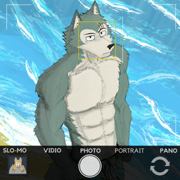 anthro beach camera clothing male muscular muscular_anthro muscular_male solo summer sun swimming_trunks swimwear text water wave jawad9875 beastars legoshi_(beastars) canid canine canis mammal wolf 1:1 english_text hi_res