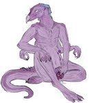 anthro beak belly_nipples breasts genitals hand_on_knee hand_on_leg herm intersex multi_arm multi_limb penis purple_body purple_skin solo unusual_anatomy unusual_genitalia welcometaco the_dark_crystal avian skeksis