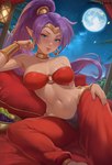 blue_eyes breasts brown_body brown_skin clothing ear_piercing ear_ring female food full_moon hair humanoid_pointy_ears long_hair looking_at_viewer moon navel night not_furry piercing pillow pointy_ears ponytail purple_hair ring_piercing sky smile smiling_at_viewer solo star starry_sky exlic shantae_(series) wayforward shantae genie humanoid 2025 hi_res signature