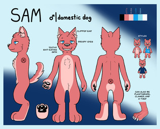 4_fingers amputee black_nose black_paws blue_eyes claws clothing disability eyelashes fangs feet fingers fluffy fur male mouth_closed multicolored_body multicolored_fur multiple_angles open_mouth paws pink_body pink_fur profile raised_tail shirt sleveless_shirt smile solo standing tail tank_top teeth text topwear two_tone_body two_tone_fur two_tone_tail furmazing sam_(furmazing) canid canine canis domestic_dog mammal english_text