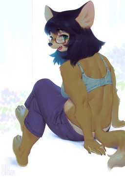 anthro blue_bra blue_clothing blue_underwear bra clothing eyewear female glasses looking_back panties panty_peek rear_view sitting solo underwear white_clothing white_panties white_underwear aruurara canid canine fox mammal hi_res