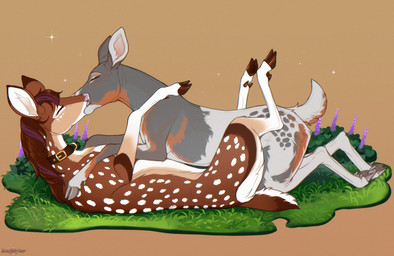 butt collar countershade_torso countershading duo female female/female feral feral_on_feral fur hair hooves kissing lying markings on_back on_front on_ground spots spotted_body spotted_fur tail angellsview3 conditional_dnp autumn_(zuboko) willow_(zuboko) deer mammal 2026 digital_drawing_(artwork) digital_media_(artwork) hi_res