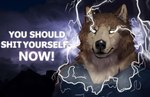 anthro electricity eye_trail humor lightning male profanity solo text white_electricity sepulte you_should_kill_yourself_now_(meme) reyes_(sepulte) canid canine canis mammal wolf english_text meme