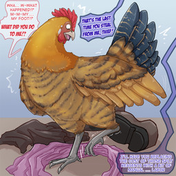 after_transformation black_markings blue_background brown_body brown_feathers clothing dialogue discarded_clothing feathers female feral feral_transformation footwear looking_down markings offscreen_character raised_leg shocked shoes simple_background solo speech_bubble striped_body striped_markings stripes surprised talking_feral talking_to_another text transformation transformation_through_magic animatics avian bird chicken galliform phasianid 1:1 english_text hi_res