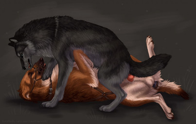 ambiguous_gender anal anal_penetration animal_genitalia animal_penis balls buttplug canine_genitalia canine_penis collar duo feral feral_on_feral genitals knot male male/ambiguous muzzle_(object) muzzled penetration penis plug_(sex_toy) realistic sex sex_toy heatherwolf canid canine canis domestic_dog mammal wolf detailed