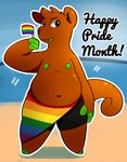 anthro beach bottomwear clothed clothing flag flag_(object) flag_speedo flag_swimwear holding_flag holding_object lgbt_pride male nipples outside partially_clothed pride_color_bottomwear pride_color_clothing pride_color_flag pride_color_swimwear pride_colors rainbow_flag rainbow_pride_clothing rainbow_pride_colors rainbow_pride_flag rainbow_symbol seaside six-stripe_rainbow_pride_colors slightly_chubby smile solo swimwear text tongue tongue_out ncpk lgbt_pride_month camelid llama mammal