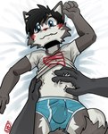 adult_on_young age_difference ambiguous_gender ambiguous_pov anthro bed belly_rub biped black_hair blue_eyes blush bulge clothed clothing detailed_bulge duo erection erection_under_clothing fangs first_person_view fur furniture grey_body hair looking_at_viewer male male/ambiguous male_anthro male_focus on_bed simple_background smile solo_focus tail teeth underwear young young_anthro young_male noofywoof canid canine mammal absurd_res digital_media_(artwork) hi_res