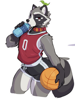 anthro ball basketball_(ball) basketball_jersey biped black_bottomwear black_clothing black_shorts bottle bottomwear clothing collar container drinking drinking_water holding_ball holding_ball_on_hip holding_bottle holding_container holding_object holding_water_bottle looking_at_viewer male male_anthro plant_on_head red_clothing red_collar red_eyes red_shirt red_tank_top red_topwear shirt shorts simple_background solo tail tank_top topwear water_bottle white_background torou mammal procyonid raccoon 2026 digital_drawing_(artwork) digital_media_(artwork) hi_res