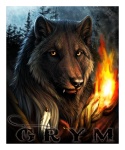 ambiguous_gender border detailed_fur feathers feral fire fur night outside solo tribal white_border cedarwolf grym canid canine canis mammal wolf 2013 5:6 character_badge_(artwork) detailed