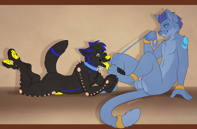 anthro armor balls barefoot barely_visible_genitalia black_body black_fur black_hair blue_balls blue_body blue_fur blue_hair blue_nose bracers collar dominant dominant_male duo erection feet fluffy fluffy_tail foot_fetish foot_lick foot_play fur genitals hair holding_leash holding_object hypnosis leash leash_pull licking lying male male/male mind_control multicolored_body multicolored_fur nude on_front open_mouth pawpads paws penis pink_penis simple_background smile spiral spiral_eyes submissive submissive_male tail teeth tongue tongue_out two_tone_body two_tone_fur yellow_nose yellow_pawpads yellow_penis yellow_tongue citrinelle canid canine canis domestic_cat felid feline felis mammal wolf